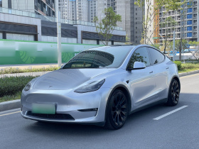 特斯拉 Model Y 2021款 长续航全轮驱动版