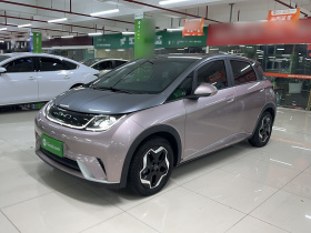 比亚迪 海豚 2021款 405km 时尚版