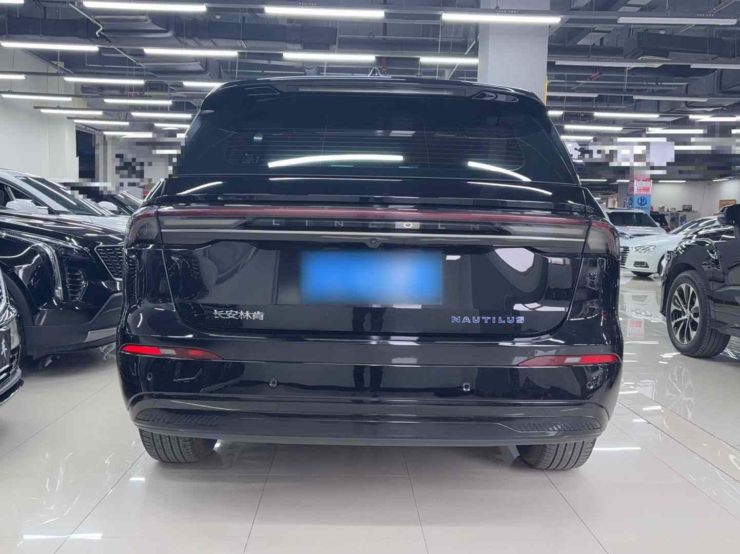 林肯 航海家 2025款 2.0T 四驱尊逸混动版(5)
