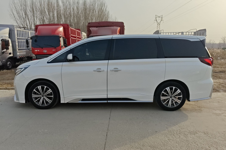 广汽传祺 传祺M8 2020款 大师版 390T 至尊版车身外观4