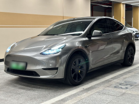 特斯拉 Model Y 2024款 后轮驱动版