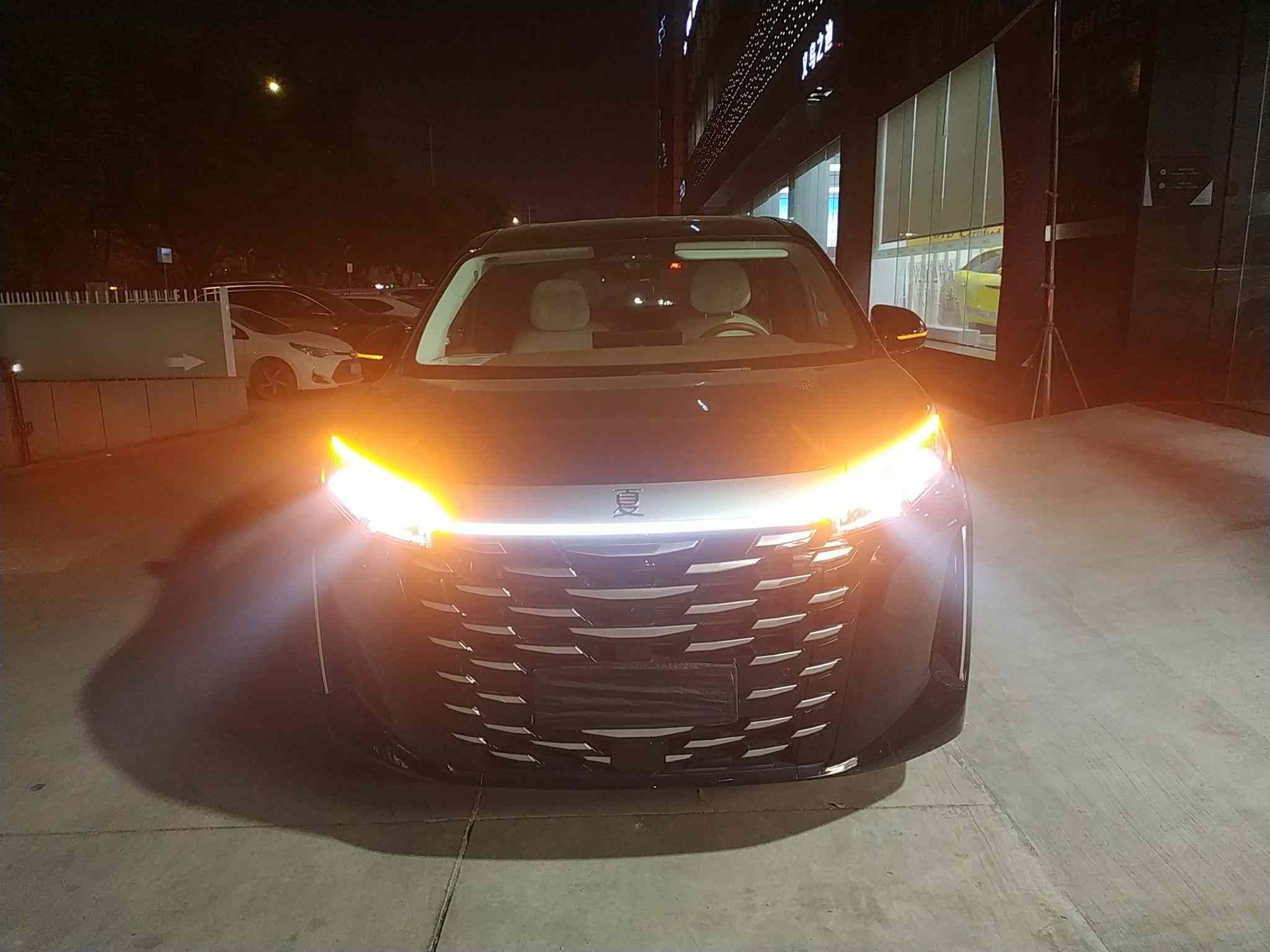 比亚迪 夏 2025款 DM-i 1.5T 180km 超越型(2)