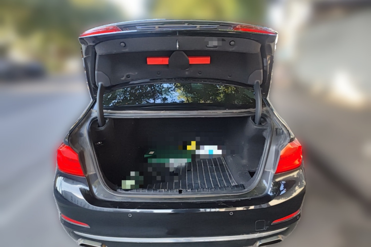 宝马5系 2018款 525Li 豪华套装局部细节23