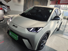 比亚迪 海鸥 2024款 荣耀版 405km 飞翔版