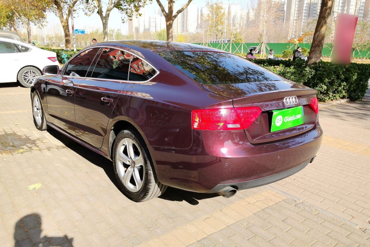 奥迪A5 2014款 Sportback 45 TFSI车身外观6005