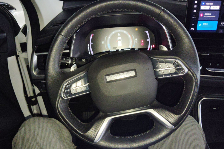 哈弗H6 2021款 国潮版 1.5T 自动冠军版局部细节13