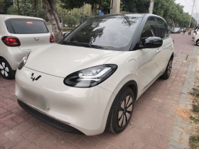 五菱汽车 五菱缤果 2024款 333km 悦享款