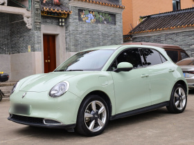 欧拉好猫 2023款 401km标准续航 豪华型 磷酸铁锂