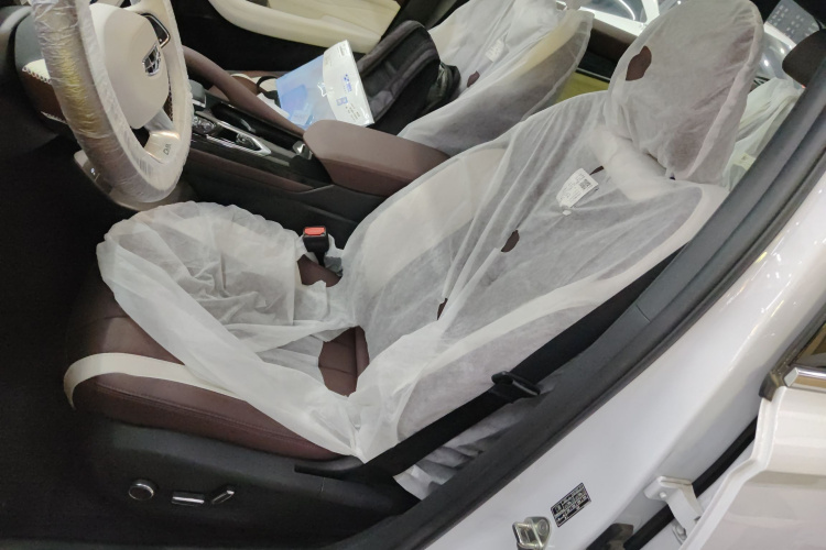 吉利汽车 星越L 2024款 2.0TD DCT EVO两驱尊贵型局部细节19