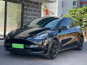 特斯拉 Model Y 2022款 后轮驱动版
