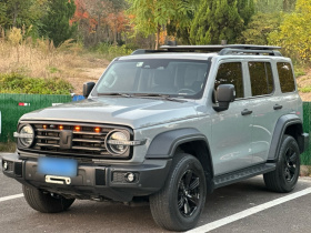 坦克300 2023款 越野版 2.0T 征服者