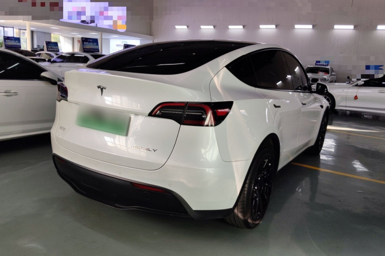 特斯拉 Model Y 2021款 长续航全轮驱动版车身外观6006