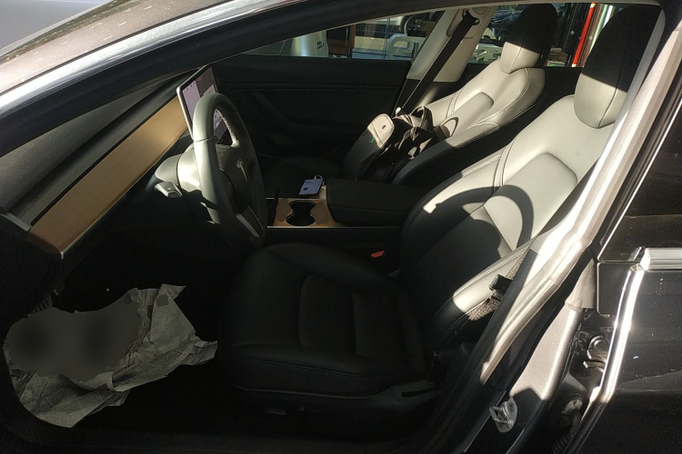 特斯拉 Model 3(进口) 2019款 Performance高性能全轮驱动版中控内饰19