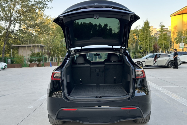 特斯拉 Model Y 2021款 标准续航后驱版车身外观6006