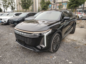 星途瑶光 2023款 400T 两驱优享飞鱼版