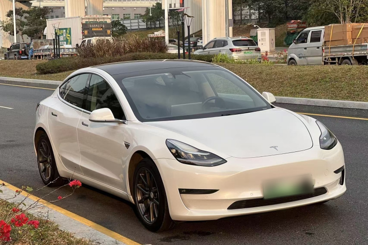 特斯拉 Model 3 2020款 改款 长续航后轮驱动版车身外观6002