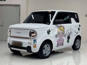 吉利银河 2024款 熊猫mini 200km 龙腾版