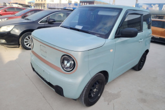 吉利银河 2024款 熊猫mini 200km 耐力熊