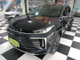 星途凌云 2024款 300T 两驱星耀版