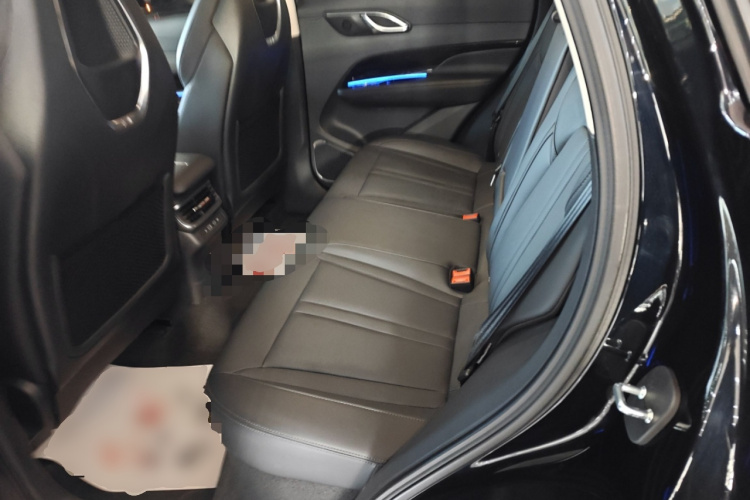 红旗HS3 PHEV 2024款 PHEV 115km 劲为版中控内饰21