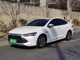 比亚迪 秦PLUS 2023款 冠军版 DM-i 55KM超越型