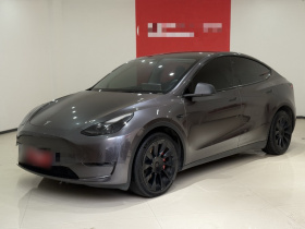 特斯拉 Model Y 2021款 标准续航后驱版