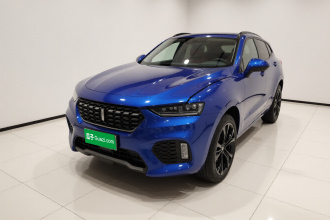 魏牌 VV7 2019款 升级款 2.0T 旗舰型 国V