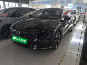 五菱汽车 五菱星光 2023款 150 进阶版