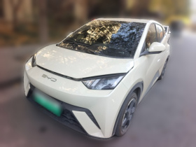 比亚迪 海鸥 2023款 飞翔版