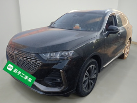 魏牌 拿铁DHT 2022款 1.5T DHT超大杯