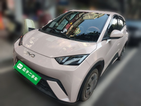 比亚迪 海鸥 2024款 荣耀版 305km 活力版