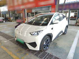 比亚迪 海鸥 2025款 智驾版 305km 自由版