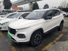 宝骏510 2019款 1.5L 自动优享型 国V