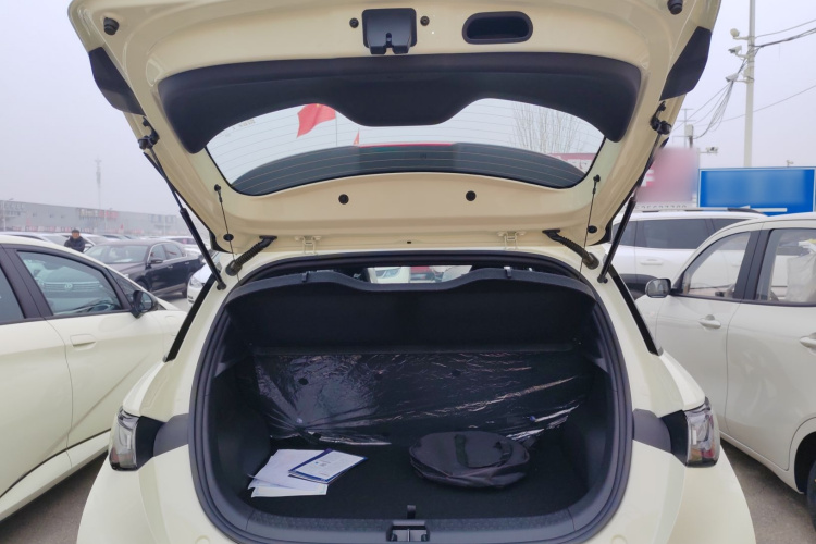 比亚迪 海豚 2025款 420km 自由版机舱底盘23