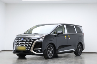 腾势D9 2025款 DM-i 智驾版 1100 豪华型