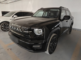 哈弗大狗 PLUS 新能源 2026款 Hi4 105km 潮电版