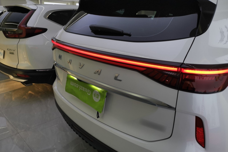 哈弗H6 2024款 1.5T 两驱经典版车身外观6