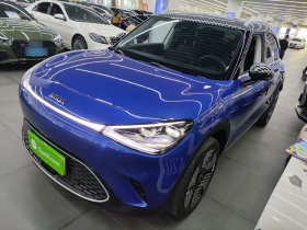 smart精灵#1 2024款 Premium版