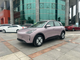 吉利银河 星愿 2026款 310km 青春版