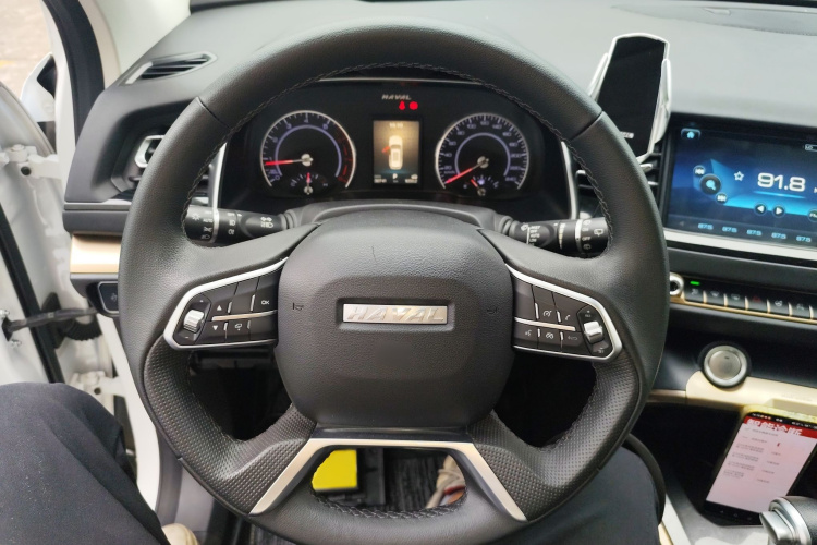 哈弗H6 2019款 蓝标 2.0GDIT 自动豪华智联版局部细节13