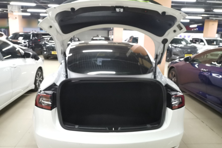 特斯拉 Model 3 2019款 标准续航后驱升级版机舱底盘23