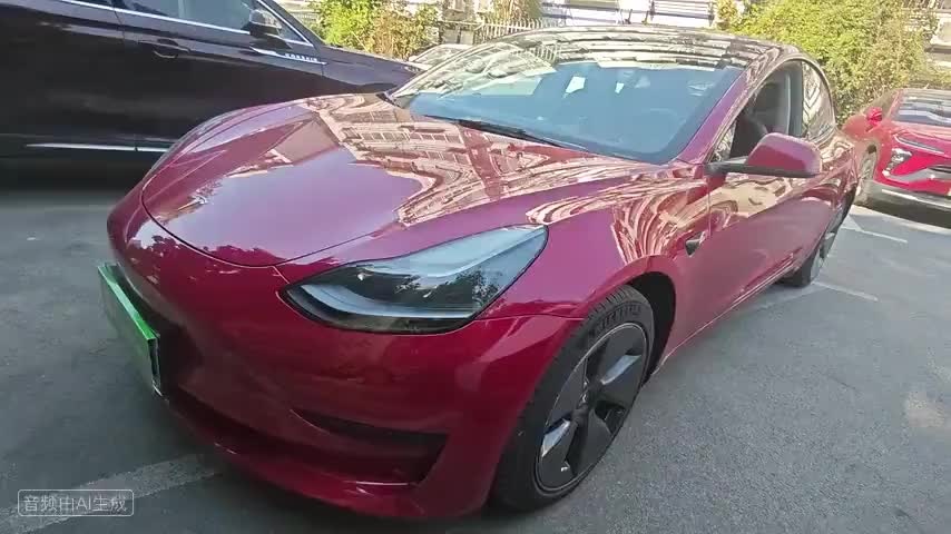 特斯拉 Model 3 2022款 后轮驱动版检测视频1