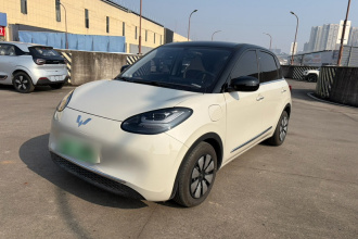 五菱汽车 五菱缤果 2024款 333km 悦享款