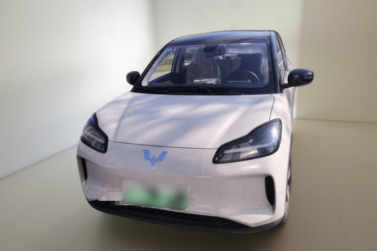 五菱汽车 五菱缤果PLUS 2024款 330km 五座版车身外观2