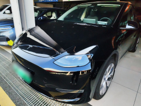特斯拉 Model Y 2022款 后轮驱动版