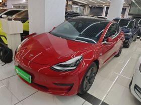 特斯拉 Model 3 2020款 改款 标准续航后驱升级版