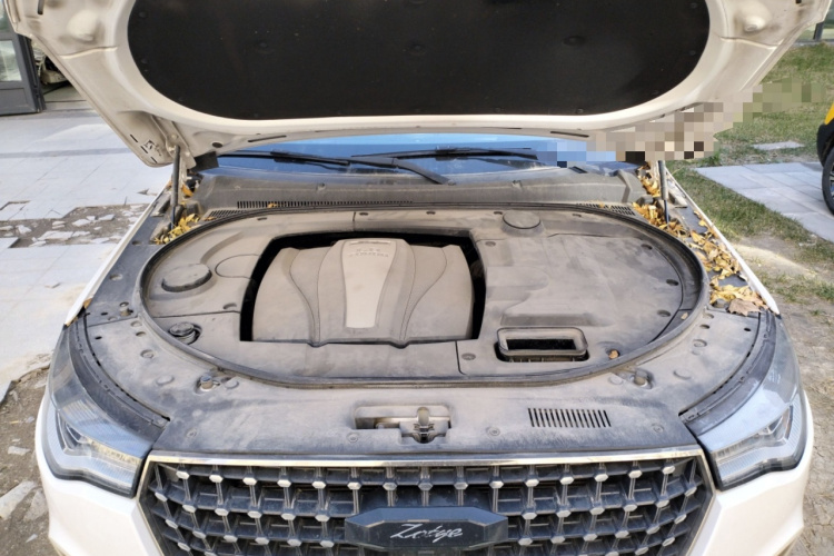 众泰T700 2017款 1.8T 双离合尊贵型局部细节24