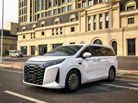 比亚迪 夏 2025款 DM-i 1.5T 100km 领先型