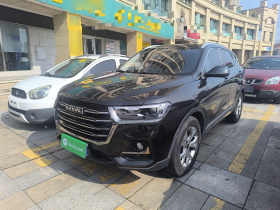 哈弗H6 2021款 国潮版 1.5T 自动冠军版