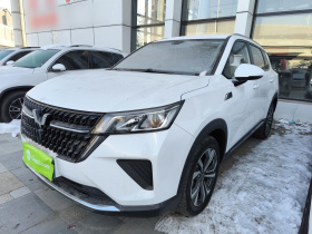 五菱汽车 五菱星辰 2022款 2.0L DHT电劲款